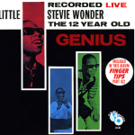 Stevie Wonder Cover15